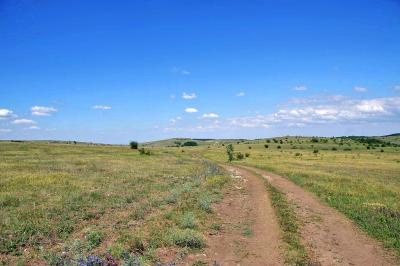 Прикрепленное изображение: IMGP6578.jpg